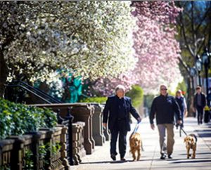 The Rev. Ingo Dutzmann, left, pastor of First Lutheran Church in Boston, and Lutheran Church Charities (LCC) staff member Rich Martin return from a walk to the bombing scene on Boylston Street with LCC Comfort Dogs "Luther" and "Maggie." (Lutheran Church Charities)