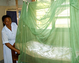 Thanks to a challenge grant from by Angel Tear Ministries, the Lutheran Malaria Initiative will have $250,000 to use in Africa, where nearly 700,000 people die from malaria each year. Much of the funding will be used to purchase and distribute insecticide-treated bed nets — the most cost-effective way to prevent malaria transmission. (Lutheran World Relief)