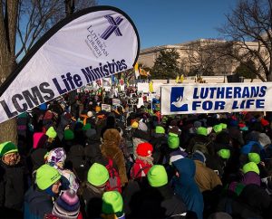 Lime-green stocking caps identify participants with the LCMS and help them ward off the cold as they head down the National Mall toward the U.S. Supreme Court building during the 41st “March for Life.” (LCMS Communications/Erik M. Lunsford)