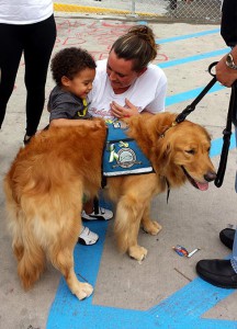 "Luther," a "comfort dog" from Lutheran Church Charities in Addison, Ill., visits Ferguson, Mo., on Aug. 16, a week after the shooting that ignited violent demonstrations in the North St. Louis County community. (James Kirschenmann)