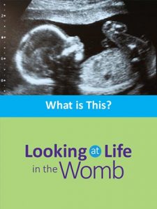 A sample booklet from the "What is This? Looking at Life in the Womb" curriculum for middle- and high-school students.