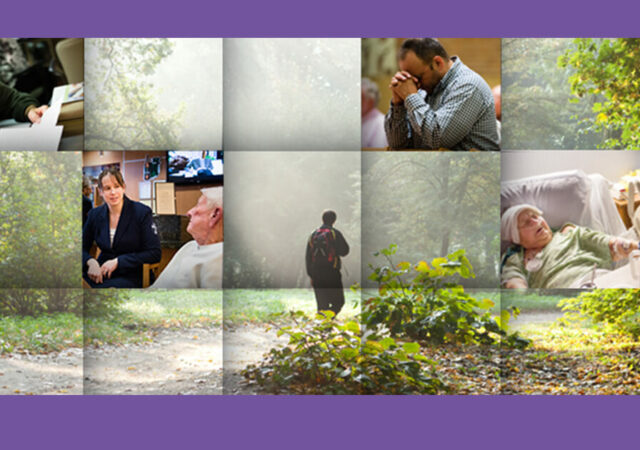 A Pastoral Touch - Newsletter