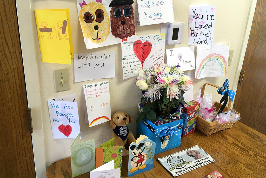 Immanuel Lutheran Church mounts a display of notes of encouragement received after the Aug. 13 shooting that injured several members and the congregation’s two comfort dogs. (Immanuel Lutheran Church)