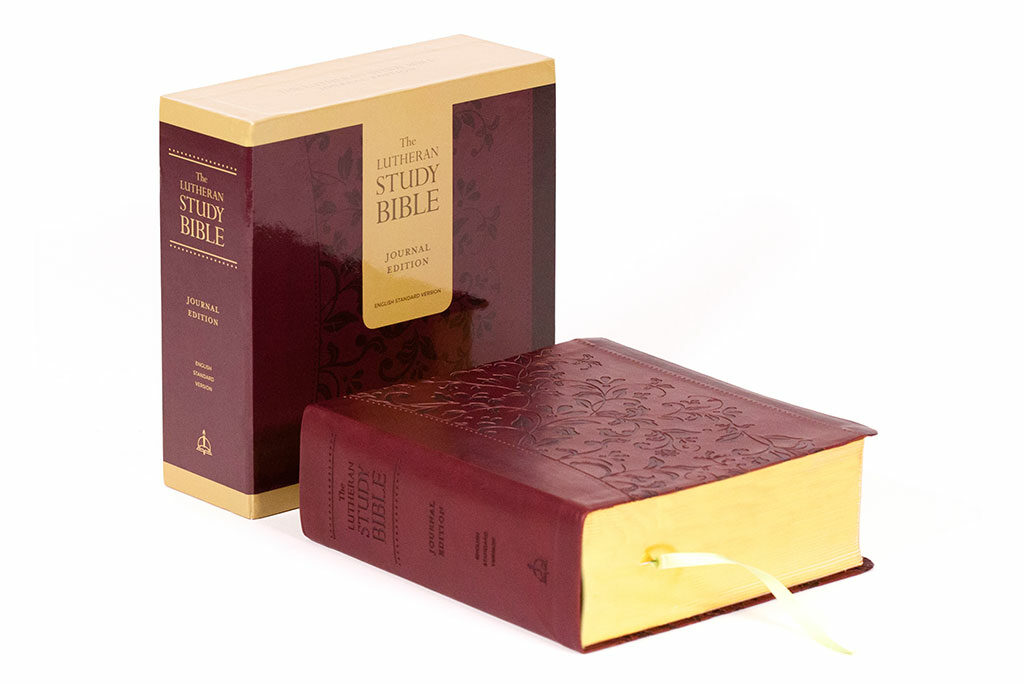 journal-bible-rpt-in