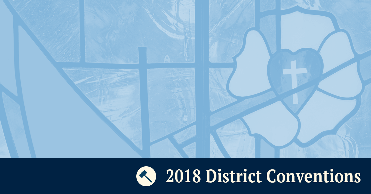 2018 District Conventions