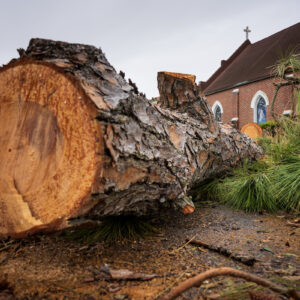Fallen tree debris outside Redeemer Lutheran Church, Pensacola, Fla., in the aftermath of Hurricane Sally on Tuesday, Sept. 22, 2020. LCMS Communications/Erik M. Lunsford