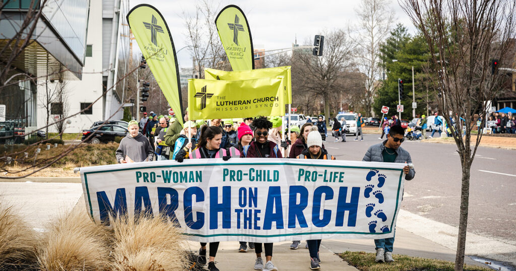 ‘March on the Arch’ draws hundreds in support of life LaptrinhX / News